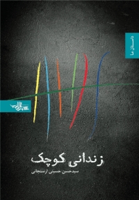 کتاب زندانی کوچک نوشته سید حسن حسینی ارسنجانی